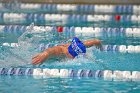 Swimming & Diving vs Babson  Swimming & Diving vs Babson College. - Photo by Keith Nordstrom : Wheaton, Swimming